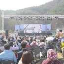 북면 벚꽃길 네이버블로그
