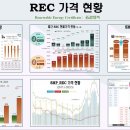 REC 현물시장 가격동향(일별)(23.7.4)_비앤지컨설팅 이미지
