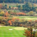 웰리힐리당구장 이미지