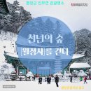원주100억공인중개사사무소 | 석산 개발 &amp; 임업 복합 수익 모델 산양삼·야생화 단지 조성 법인 장기 보유형 투자처