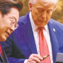 시선끌다 이미지