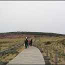 마치무릉도원 이미지