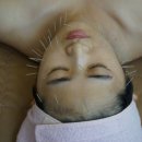 경희신농씨한의원 이미지