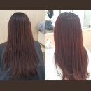 강남역 미용실 살롱드라피네 솔직후기ㅣ시세이도클리닉 가격 소요시간 효과