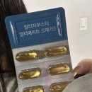 [더리틀스 서포터즈 리틀빅스 1기] 산패를 최소화한 더리틀즈 알티지부스터 얼티메이트 오메가3