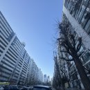 삼일초 | 동작구 사당우성2단지아파트 임장 후기