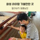 부안사슴농장 | 화성 16개월 아이랑 가볼만한 곳 동물 먹이주기 체험 할아버지 동물농장