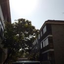 모래내로 7길 84 네이버블로그