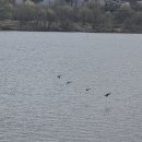 베이커리 시어터 이미지