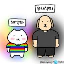 오렌지케어