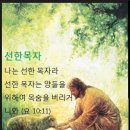 나는 선한목자라(요한복음 10장) 이미지