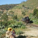 유니블렌드 카카오 검색결과