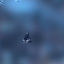 럭키PC | 취켓팅 성공해서 다녀온 보넥도 서울콘 막콘 후기, 인터파크 취켓팅 꿀팁 대방출