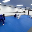 용인대 태권도 혁신 정도장 | 맞춤 지도를 잘해주는 곳_오산 유도 팀크로우유도 오산