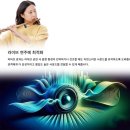 더플룻 네이버블로그