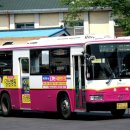 아포대로 이미지