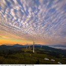 인화목장 이미지