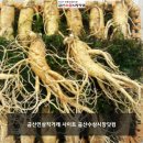 금산수삼시장닷컴 이미지