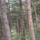 화암사 - 1067 | 화암사 방문후기 | 주차장 | 신선대 | 울산바위 |
