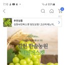 한솔 전동차 이미지