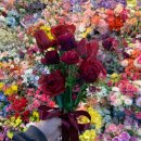 두레꽃조화;생화 | 셀프 웨딩 부케 만들기(고터 꽃시장), 생화 vs 조화 비교 후기
