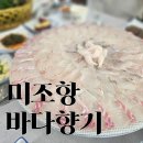 바다향기 | 쏠비치 남해 주변 횟집 미조항 바다향기 찐 후기 공개