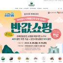 강진-50 이미지