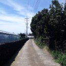 강정동-11 이미지