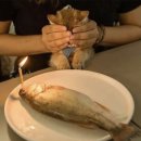 pet26라3453 | 🫵🏻