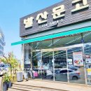 발산문고 이미지