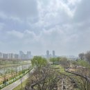 망고인테리어디자인 | 임신 중기 12주~17주 기록 (그런데 인테리어와 먹기록이 가득한...)