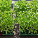 무너미농장 이미지