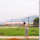 들꽃피는언덕 이미지