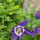 대연농원밥집 이미지