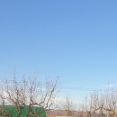 금구농장 이미지