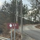 보성주차장 | 보성 초루 브런치코스 후기