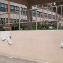 구리여자중학교 구령대 도색공사 후기