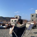 가덕 코이 이미지