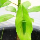 나비생태공원 이미지