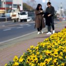 하동경찰서 앞 이미지