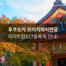 모미지 이미지