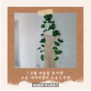 오송약국 | 7,8월 여름철 휴가엔 오송 에어비앤비 오송드루와