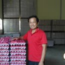 금포농장 이미지