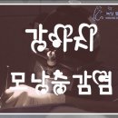 녹양동물병원