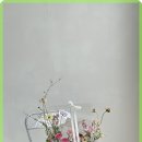 플로렌스 플라워 이미지