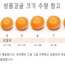 몽이네 이미지