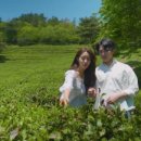 한국관광홍보 (주) 이미지