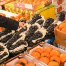 남양청과 이미지