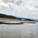 이호테우해변