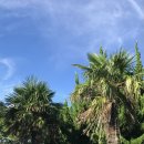 주님의 정원 민박 이미지